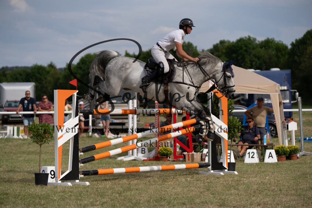 A7V02781 | Pferdefotograf