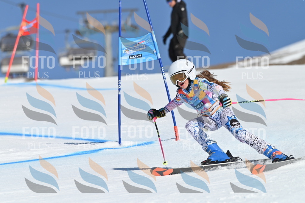 BGV_8377 | holidayphoto