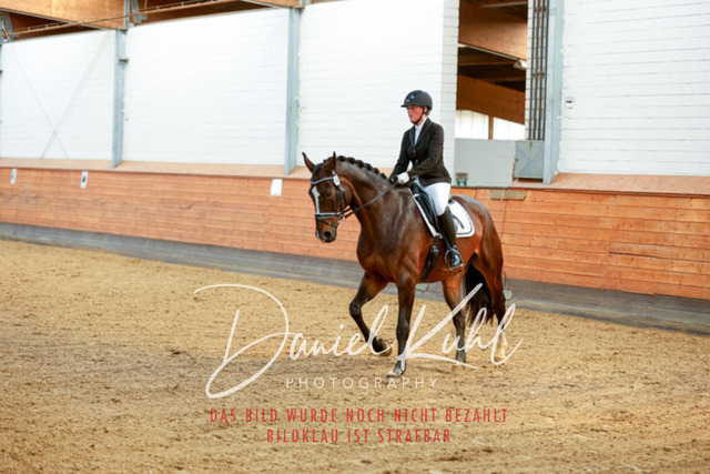 _62_6783 | Turniersportfotografie; Pferdefotografie; Dressurfotografie