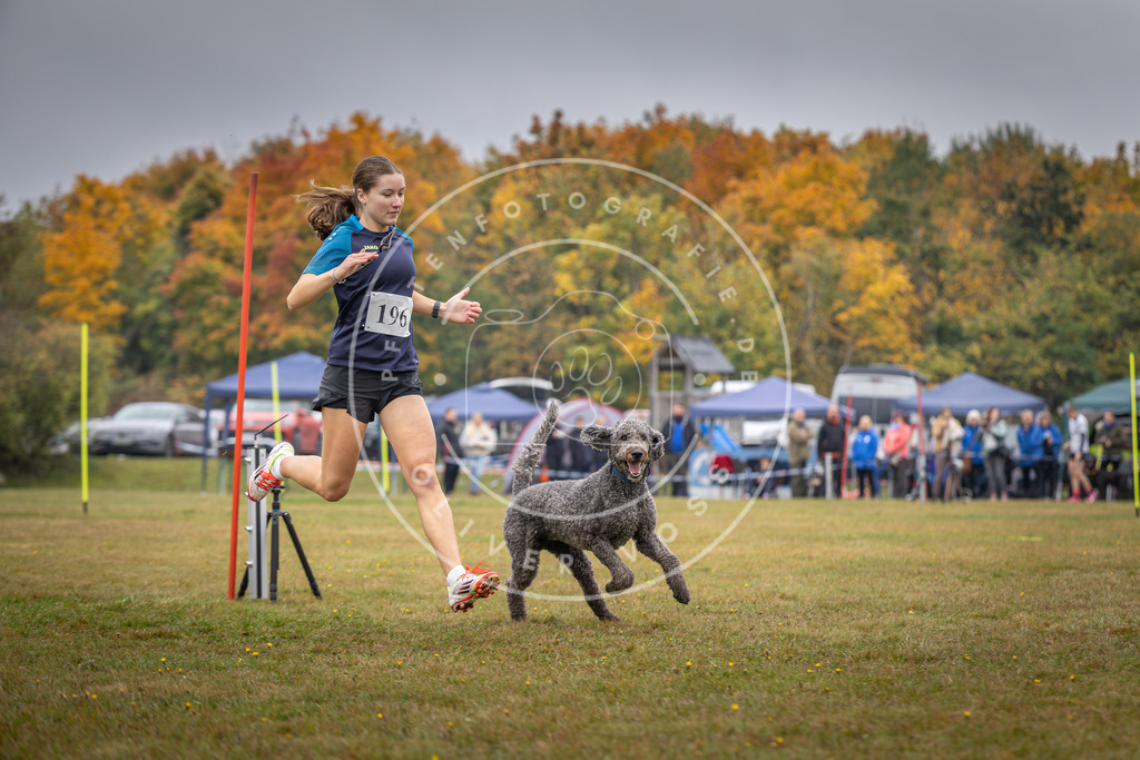 Pfotenfotografie_DV3A1070 | Hundefotografie, Tierfotograf, Pfotenfotografie, Fotoshooting Hund, Hunde Portrait, Hundesport, Hundeportraits, Heideshooting, Hunde, Sportfotograf, Hundefotograf, Turnierhundsport, THS,  - Realisiert mit Pictrs.com