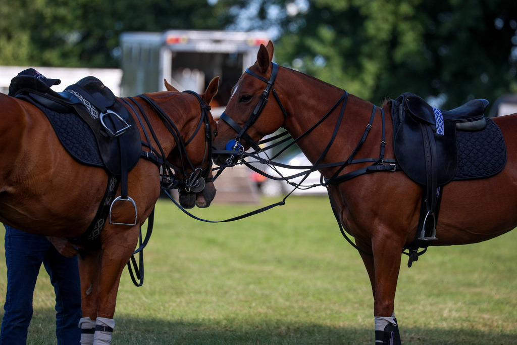 3_FreiluftmanufakturVsLandRover_200525_024 | Bildergalerie von Sport-Ereignissen aber auch von weiteren spannenden Dingen - nicht nur vom Niederrhein. In Anlehnung an den bekannten Spruch von Hanns Dieter Hüsch heißt das Motto: "Niederrhein ist überall".  - Realisiert mit Pictrs.com