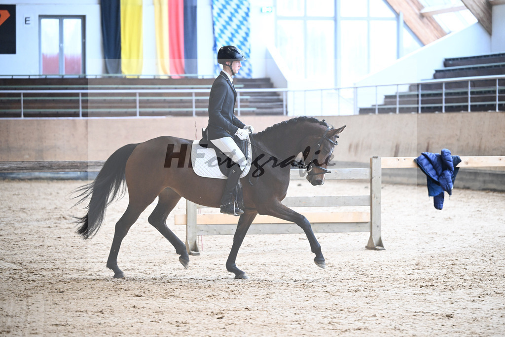 Kat-Nr. 4 Lisl-P v. Fail Deal_Purucker_50250146 | hf-fotografie - Realisiert mit Pictrs.com