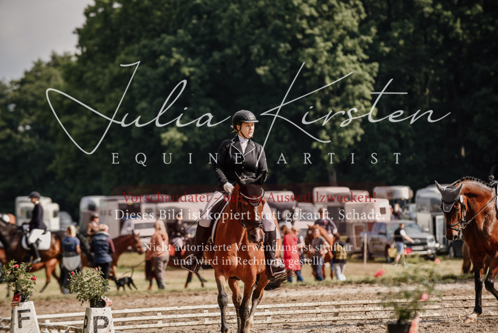 DSC_9063 | Pferde- und Turnierfotografie in Westsachsen. Pferdeportraits, Auftragszeichnungen und intuitive Kunst.