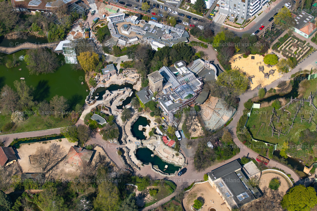 4020103 | Zoo, Frankfurt am Main