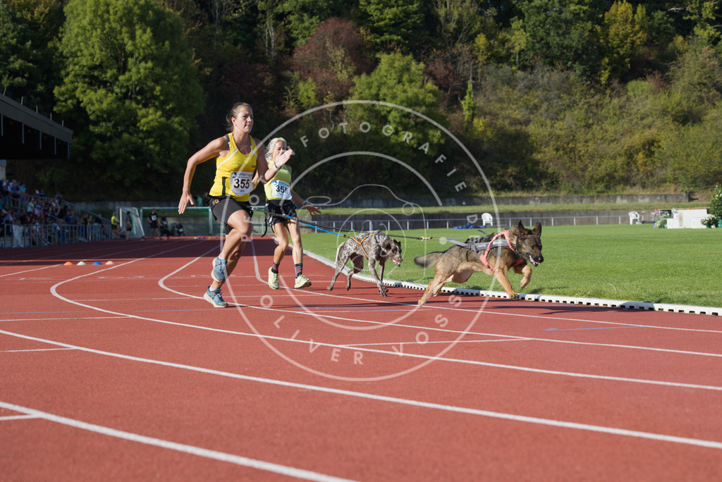 0L8A9896 | Hundefotografie, Tierfotograf, Pfotenfotografie, Fotoshooting Hund, Hunde Portrait, Hundesport, Hundeportraits, Heideshooting, Hunde, Sportfotograf, Hundefotograf, Turnierhundsport, THS,  - Realisiert mit Pictrs.com