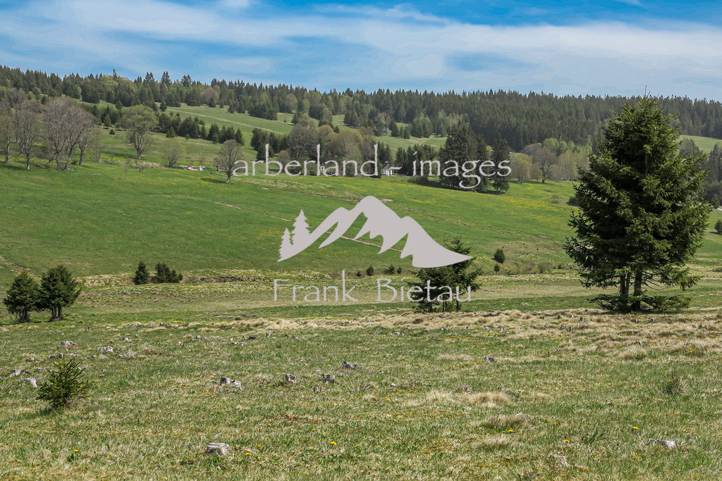 IMG_2012 | Ortsbeschreibung :  https://www.bayern-böhmen.de/gabreta/fr.asp?tab=gabreta&amp;id=1186&amp;burl=&amp;pt=TTPR&amp;lng=de