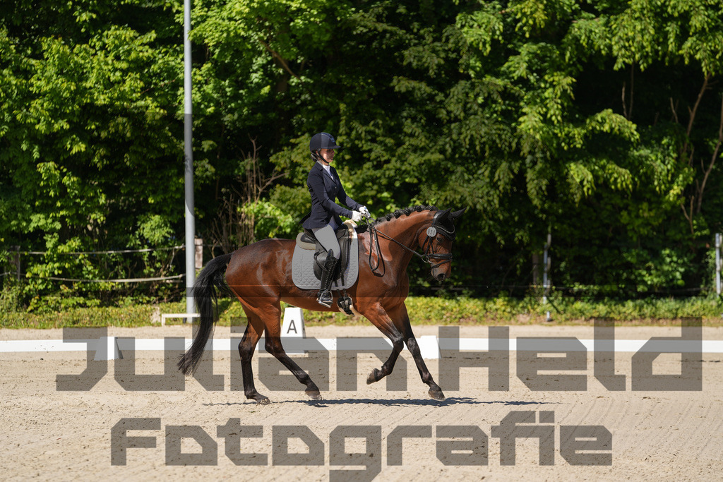 DSC00459 | Julian Held Fotografie - Realisiert mit Pictrs.com