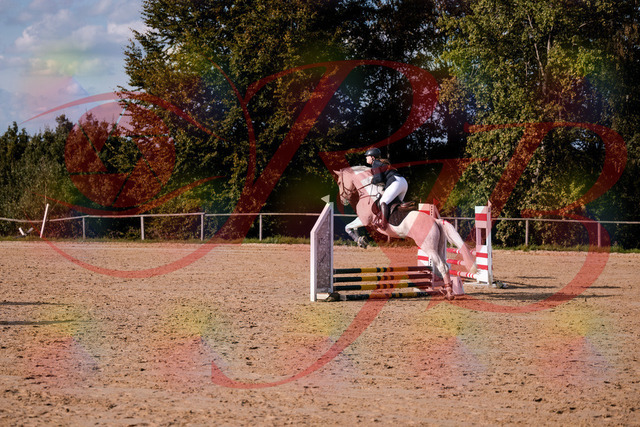 2026_10_03_Siefer-Hof_153917_Z81_54159481 | Professionelle Reitsport-, Turnier- und Eventfotografie von Robert Broda. Galerien mit ausgewählten und bearbeiteten Bildern direkt online ansehen und bestellen.