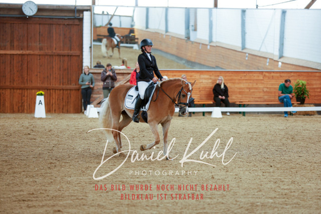 _62_5798 | Turniersportfotografie; Pferdefotografie; Dressurfotografie