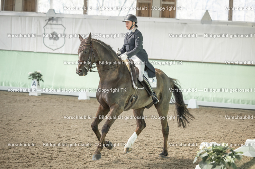 _D5A1855 | Emotionale Pferde- & People-Fotografie rund um Heidelberg, Leimen & Umgebung. Natürliche Fotos von Pferd, Mensch & Familie. Jetzt Termin sichern!