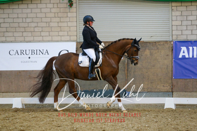 IMG_2967 | Turnierfotos kaufen im Webshop von Daniel Kuhl Photography – entdecke professionelle Reitsportfotos aus Turnieren & Events. Hochwertige Turnierbilder online bestellen & sichern. Jetzt Fotos von Reitsportturnieren kaufen!