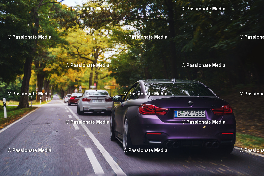 _DSC6295 | Passionate Media, dein Fotograf aus Brandenburg, Märkisch Oderland, im Bereich Motorsport, Autos und Motorräder sowie Events und auch Hunde. Shootings oder auch Eventbegleitungen können bei mir gebucht we