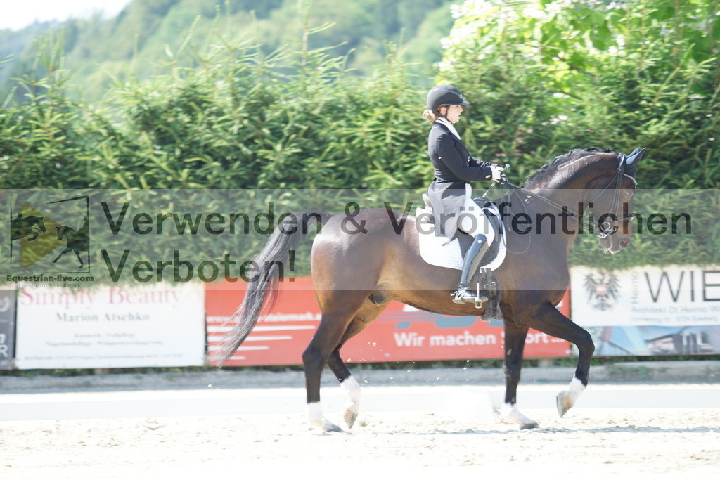 DSC02373 | equestrian-live-com