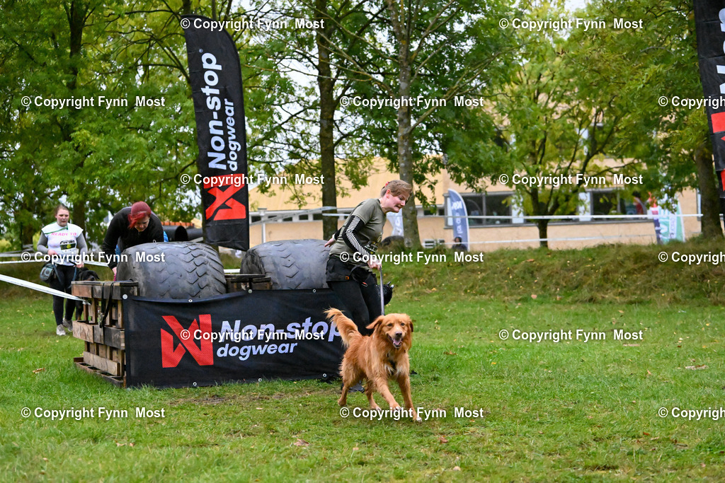DSC_2851 | Hallo und herzlich Willkommen auf meiner Shop-Seite Fynn Most.

Ich wünsche Dir viel Spaß beim stöbern durch die Bilder, wenn Du Fragen hast oder Bilder vermisst, kannst du mir gerne eine Nachricht schreiben. - Realisiert mit Pictrs.com