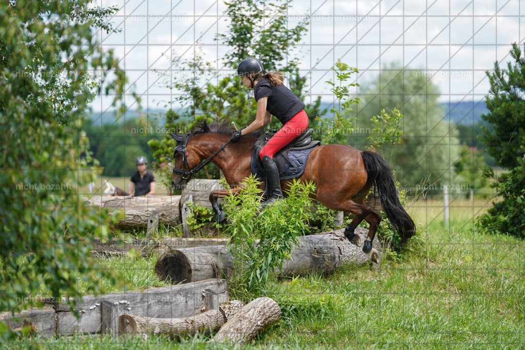 20240622-FAH07450 | Turnierfotografen Bayern, Reitsportbilder aus dem Geländekurs mit Felix Etzel auf dem Gut Waitzacker 2024