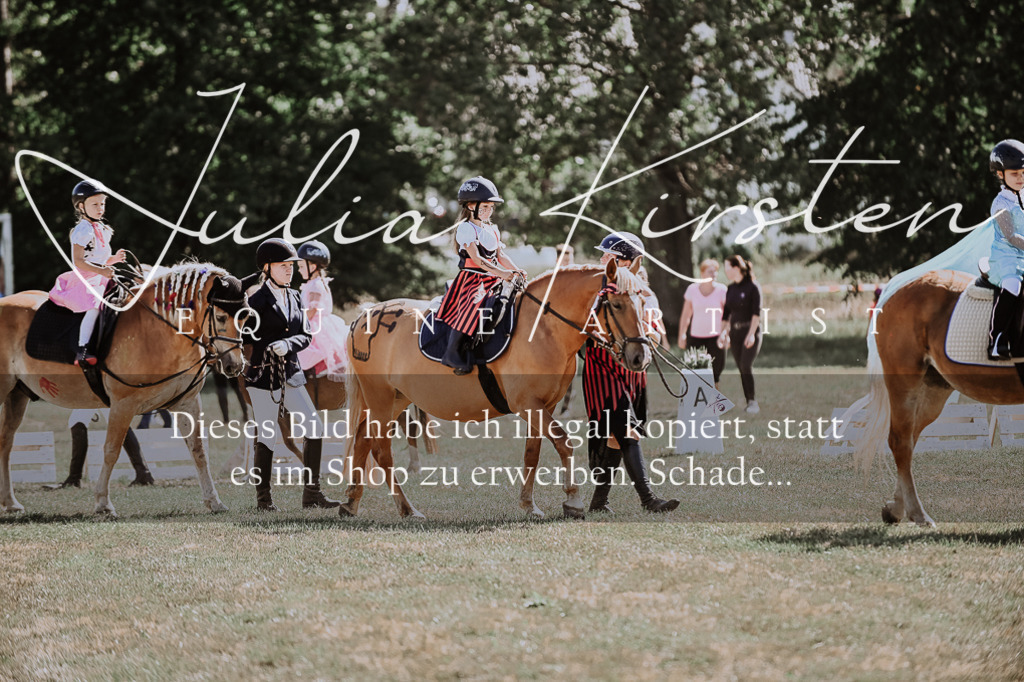 DSC_9020 | Pferde- und Turnierfotografie in Westsachsen. Pferdeportraits, Auftragszeichnungen und intuitive Kunst.