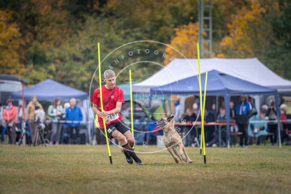Pfotenfotografie_DV3A1173 | Hundefotografie, Tierfotograf, Pfotenfotografie, Fotoshooting Hund, Hunde Portrait, Hundesport, Hundeportraits, Heideshooting, Hunde, Sportfotograf, Hundefotograf, Turnierhundsport, THS,  - Realisiert mit Pictrs.com