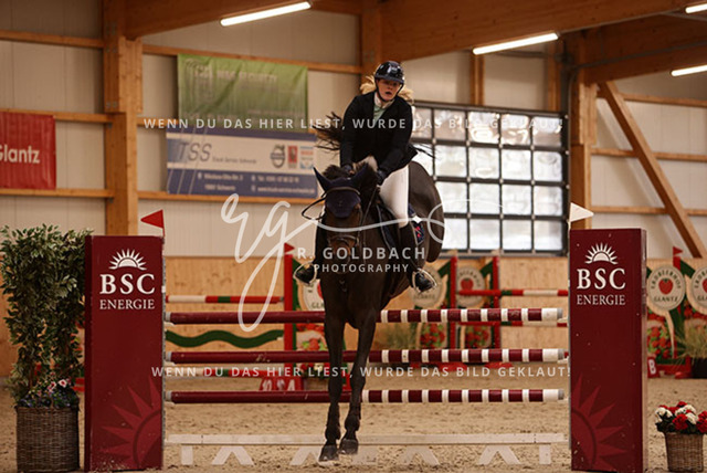 1J2A6638Alexa Burmeister_ Catania 131_ Kn091_ Glantz_ Hohen Wieschendorf | Foto- und Videografie für alles rund ums Pferd. Hochwertige Bilder und Videos vom Spring- und Dressurreiten, Voltigieren & mehr. Jetzt aktuelle Veranstaltungen und Preise im Shop ansehen. - Realisiert mit Pictrs.com