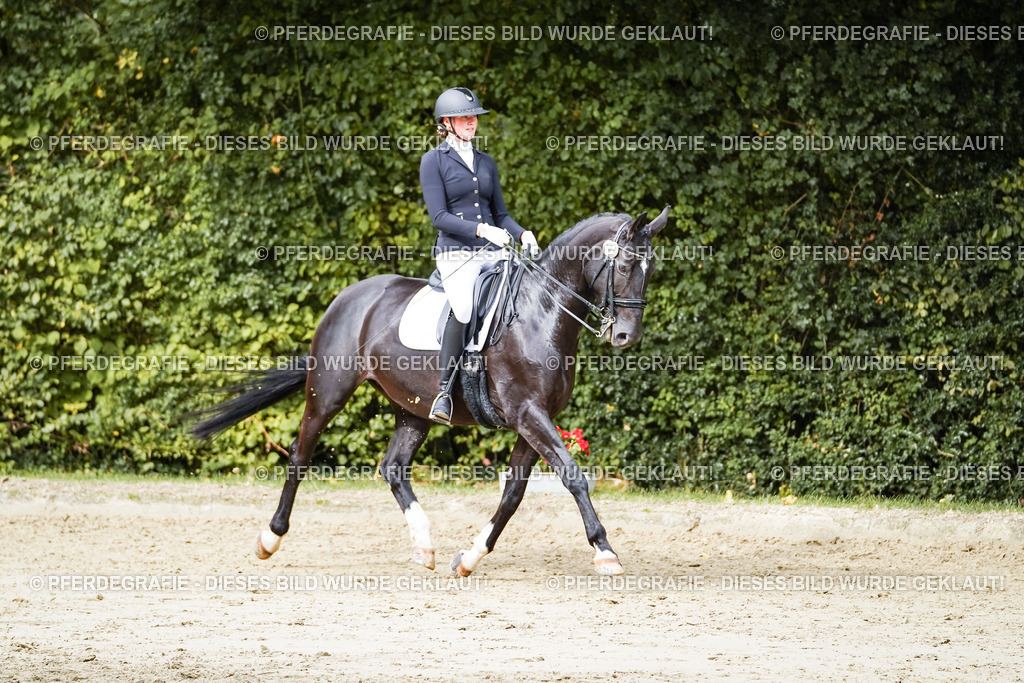 DSC05316 | Pferdegrafie