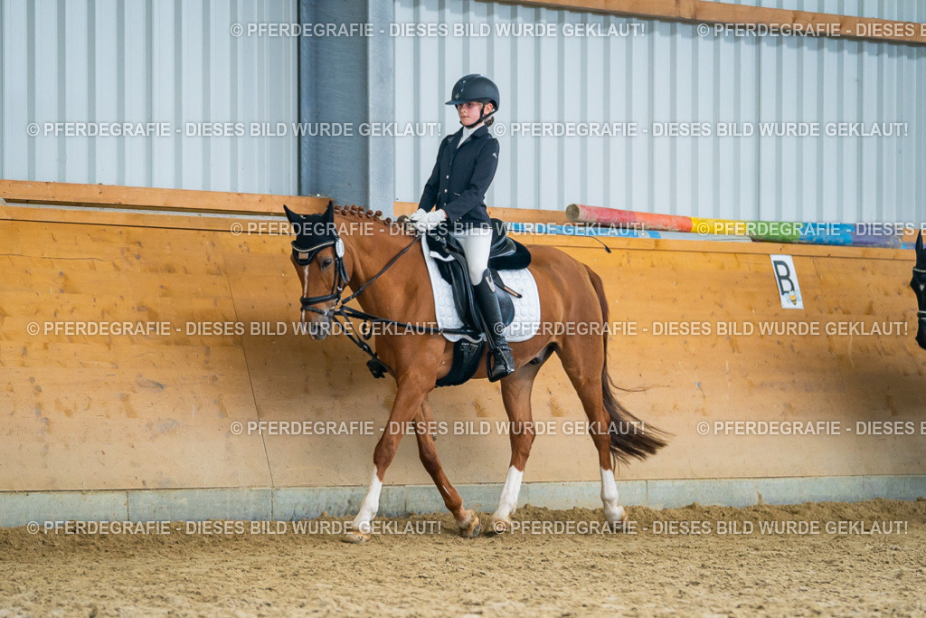 DSC01293 | Pferdegrafie