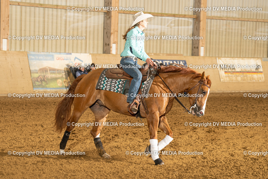 LAU00377 | dv-media-shop - Realisiert mit Pictrs.com