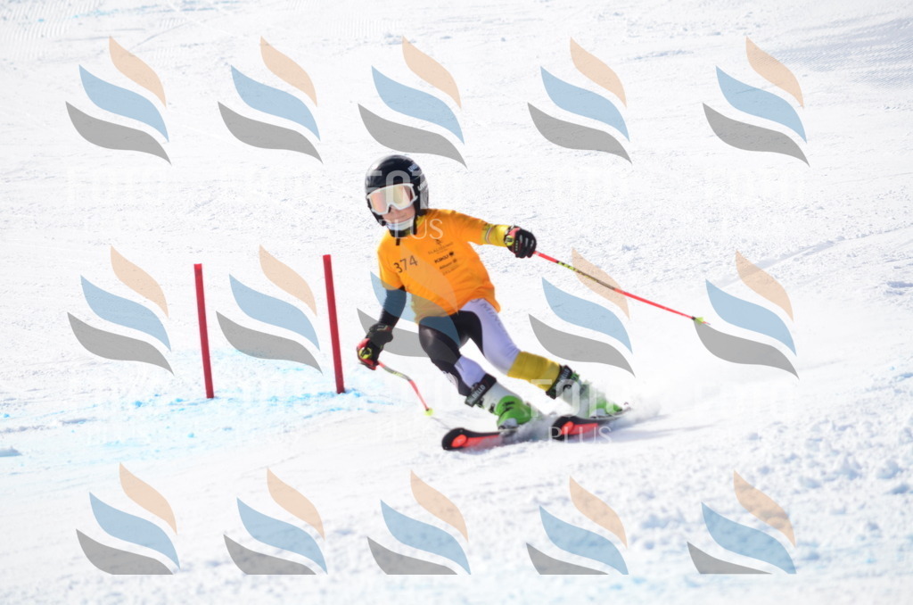 C8763 | holidayphoto