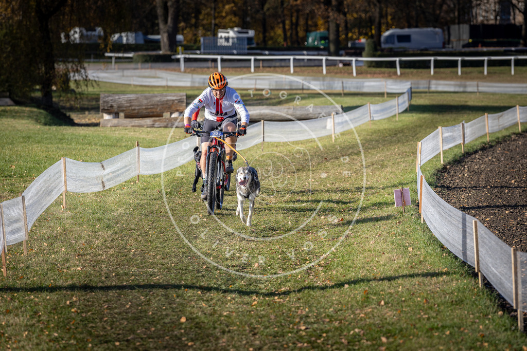 CaniXpix_DV3A3716 | Hundefotografie, Tierfotograf, Pfotenfotografie, Fotoshooting Hund, Hunde Portrait, Hundesport, Hundeportraits, Heideshooting, Hunde, Sportfotograf, Hundefotograf, Turnierhundsport, THS,  - Realisiert mit Pictrs.com
