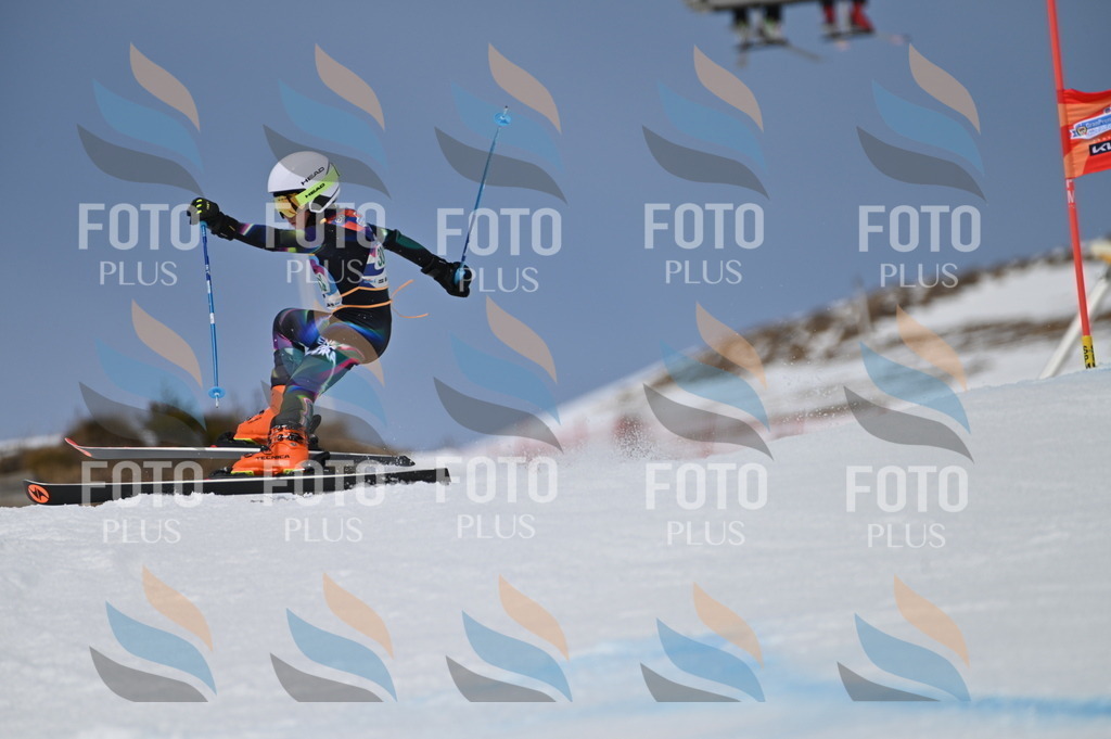 BGV_6012 | holidayphoto