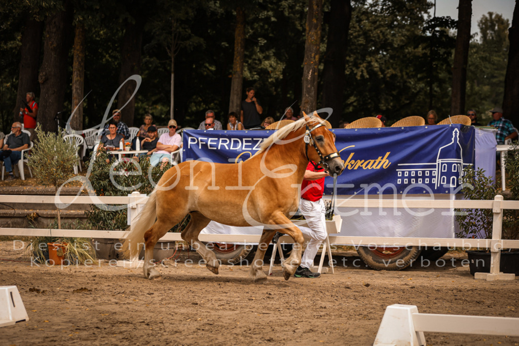 4.Sa00008 | Leoni Ertmer Photography - Realisiert mit Pictrs.com