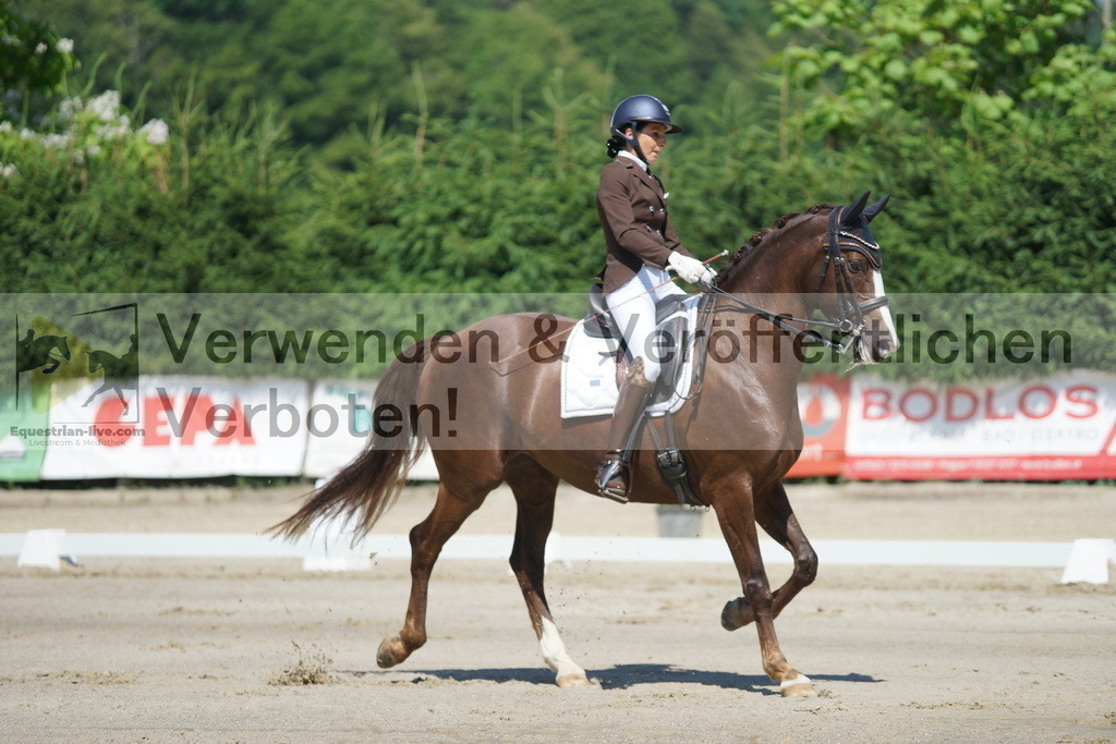 DSC03096 | equestrian-live-com