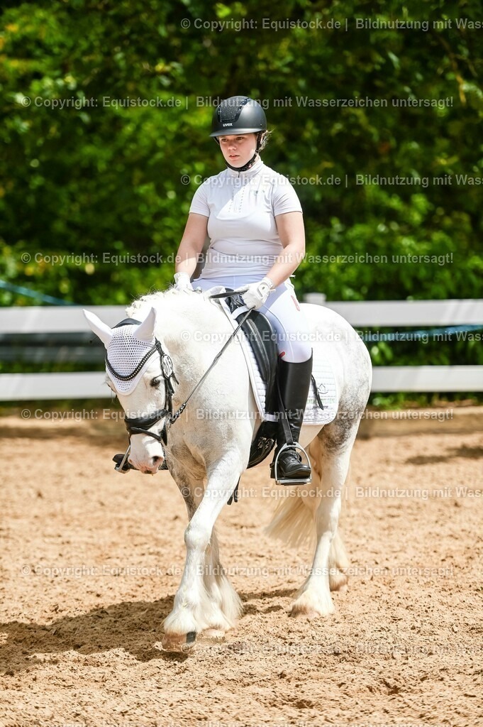 20230715_05_Dressurprüfung Kl.A++_0255 | equistock