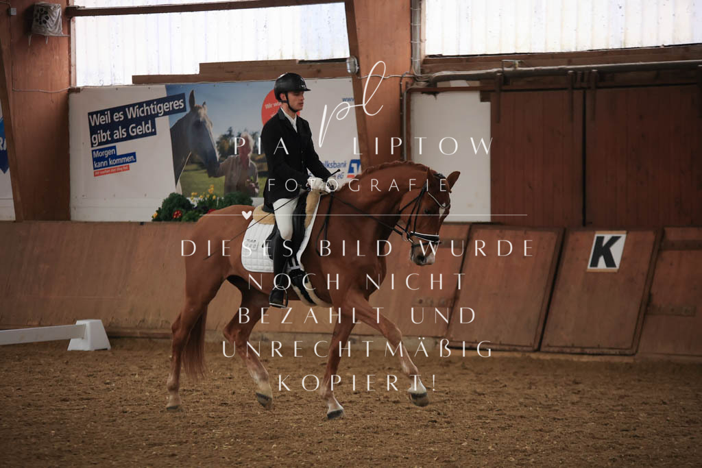 IMGT6898 | pl-fotografie