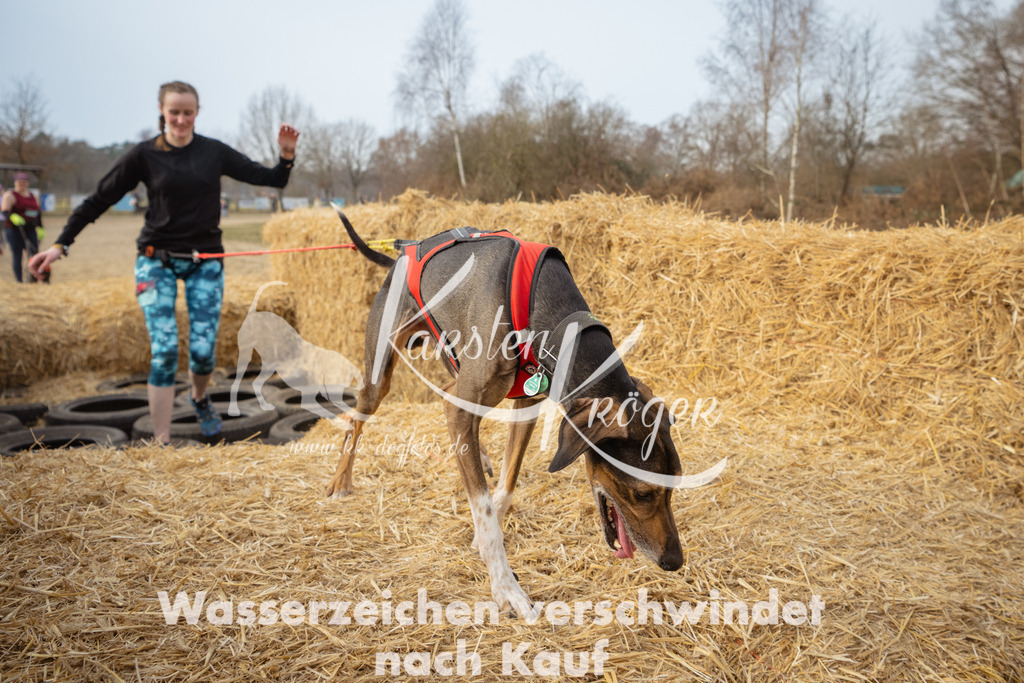 1043_ZZ98672 | kk-dogfotos