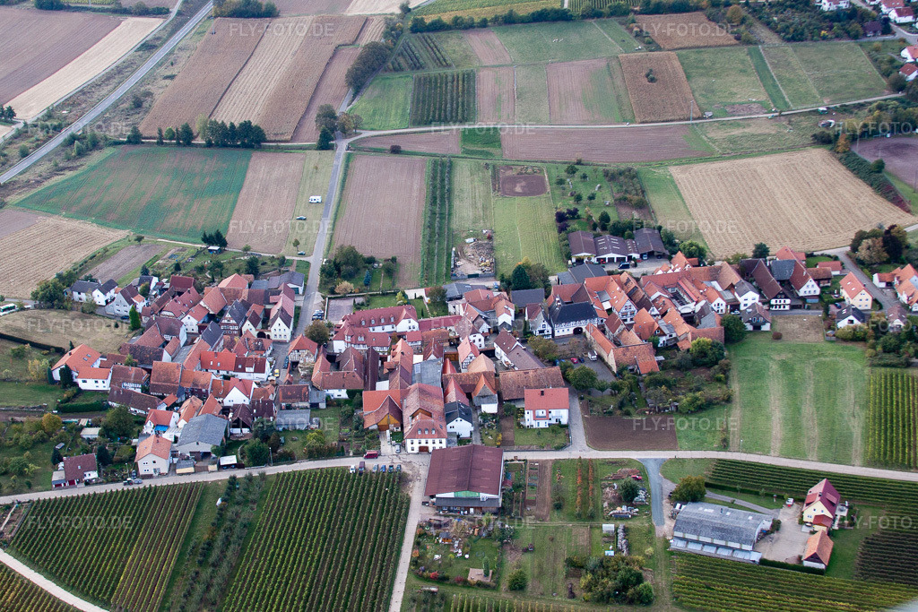 Luftbild: Ortsansicht aus Norden im Ortsteil Oberhofen in Pleisweiler-Oberhofen im Bundesland Rheinland-Pfalz in Deutschland. Foto: IMG_22408.jpg vom 15.10.2009 durch Werner Riehm/FLY-FOTO.de
