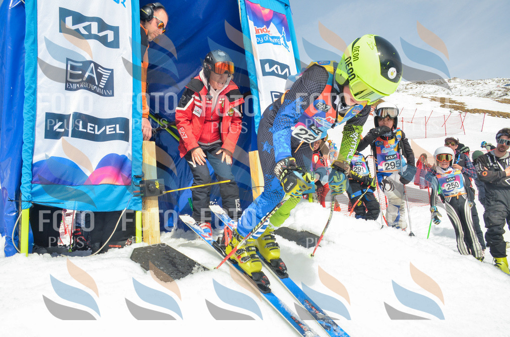 _ELE7245 | holidayphoto