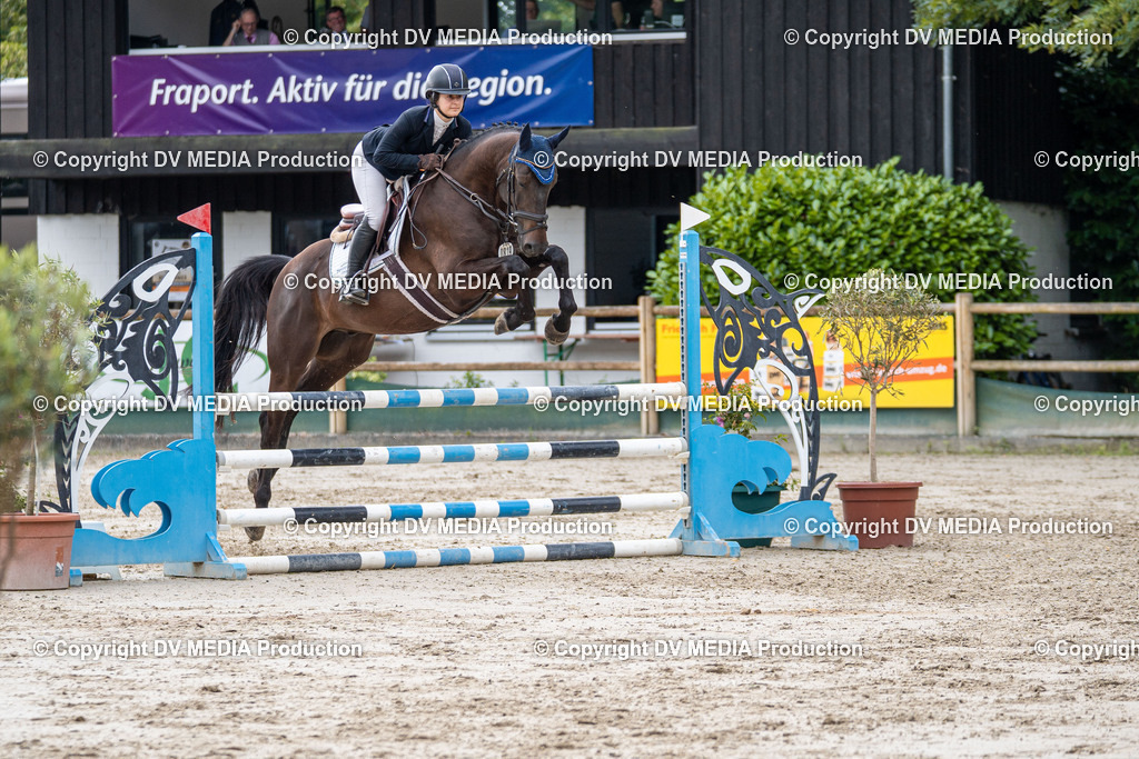 Hessische Tag 1-175 | dv-media-shop - Realisiert mit Pictrs.com