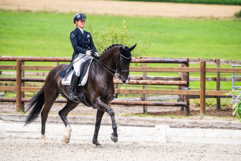 Luxembourg Dressage Championship 2025 - Senior League B | Luxembourg Dressage Championship 2025 - Kristine Møller-Engel on Zachary - Realisiert mit Pictrs.com