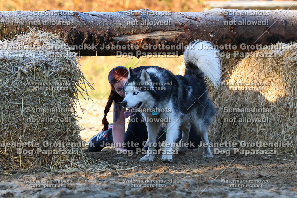 Dog Paparazzi - Strongdog 10-25-670 | Dog Paparazzi Jeanette Grottendiek Fotografie & Videografie - Realisiert mit Pictrs.com