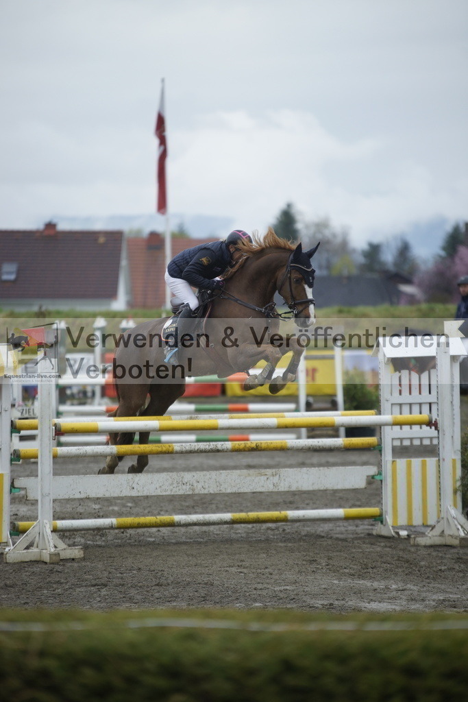 _DSC6385 | equestrian-live-com