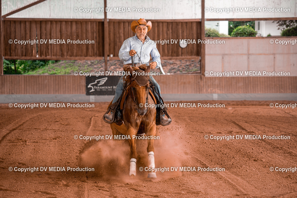 NE300834 | dv-media-shop - Realisiert mit Pictrs.com