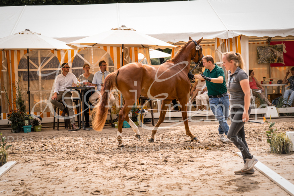 5.Fr00092 | Leoni Ertmer Photography - Realisiert mit Pictrs.com