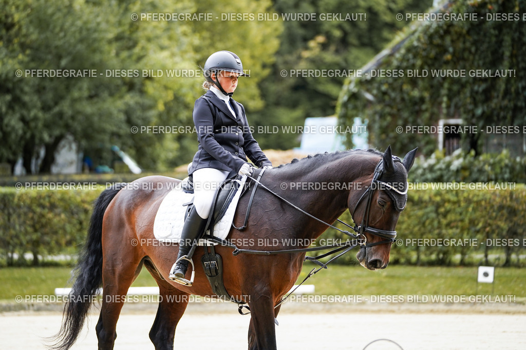 DSC04222 | Pferdegrafie