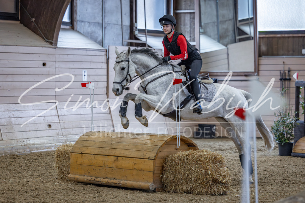 20260221-_3LI9735 | Tierfotografie Pferde, Hunde, Katzen, Haustiere.
Turnierfotografie Reitturniere, Reiten, Springreiten, Dressur in Hanau, dem Main-Kinzig-Kreis und dem Rhein-Main- Gebiet um Frankfurt