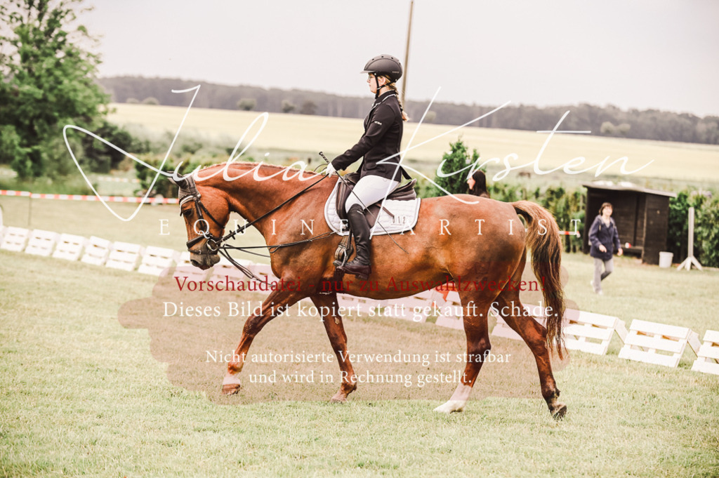 DSC_4839 | Pferde- und Turnierfotografie in Westsachsen. Pferdeportraits, Auftragszeichnungen und intuitive Kunst.