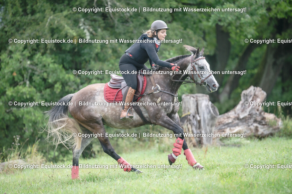 20250726_Vielseitigkeitslehrgang-Marbach_0140 | Foto: Thomas Hartig