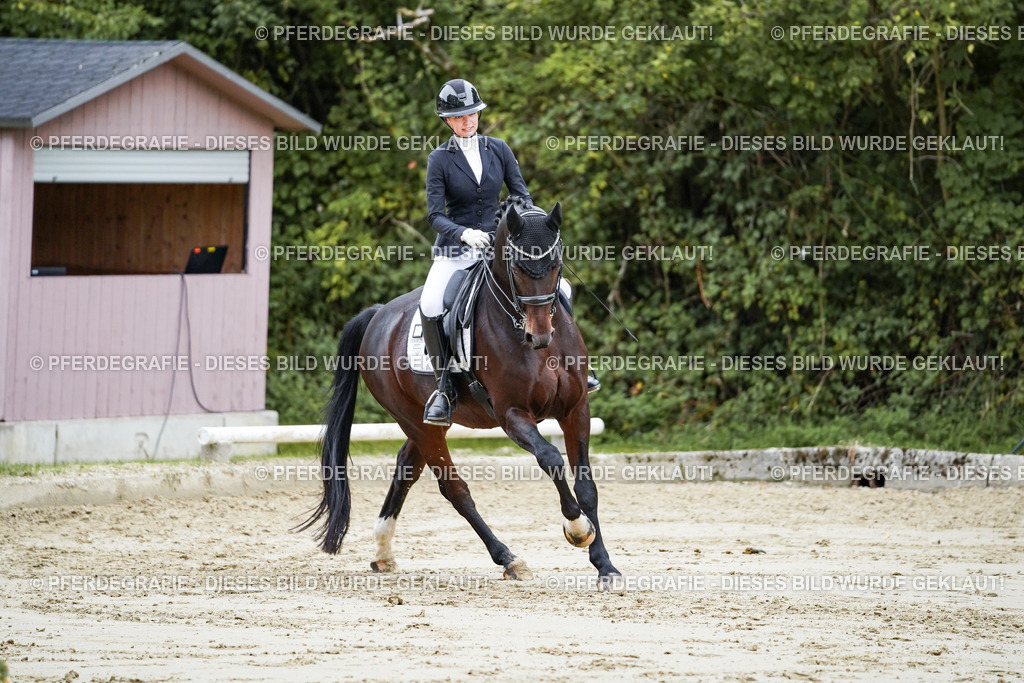 DSC09186 | Pferdegrafie