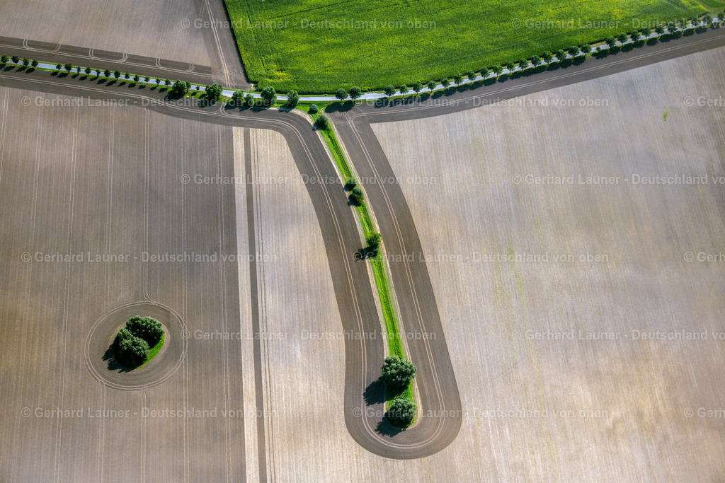 4061712 | NEUENPLEEN 08.09.2021 Baum- Inseln auf einem Feld in Neuenpleen im Bundesland Mecklenburg-Vorpommern, Deutschland. // Islands of trees in a field in Neuenpleen in the state Mecklenburg - Western Pomerania, Germany. Foto: Gerhard Launer