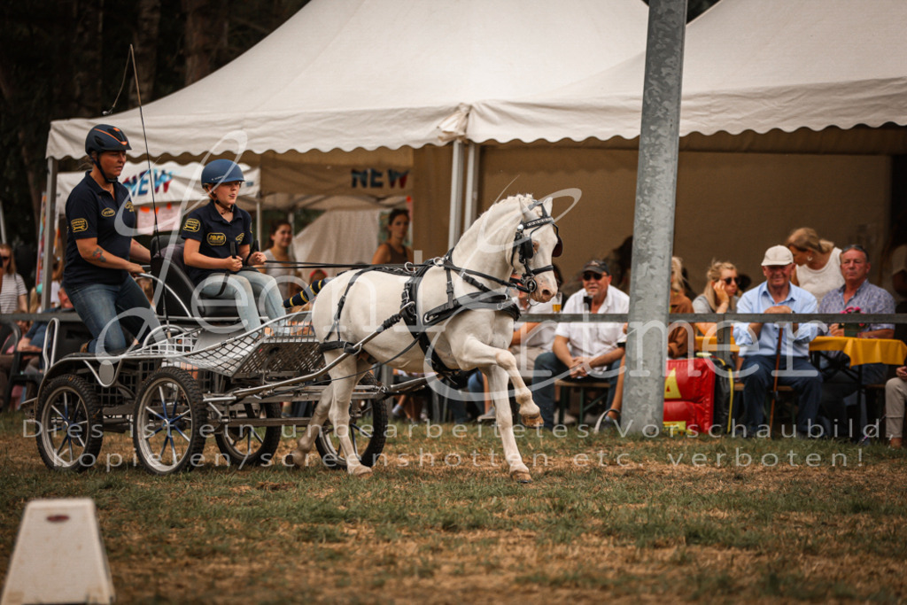 SoShow00304 | Leoni Ertmer Photography - Realisiert mit Pictrs.com