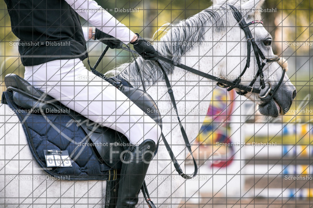 _W6A2214 | ronjaprokoschfotografie - Realisiert mit Pictrs.com