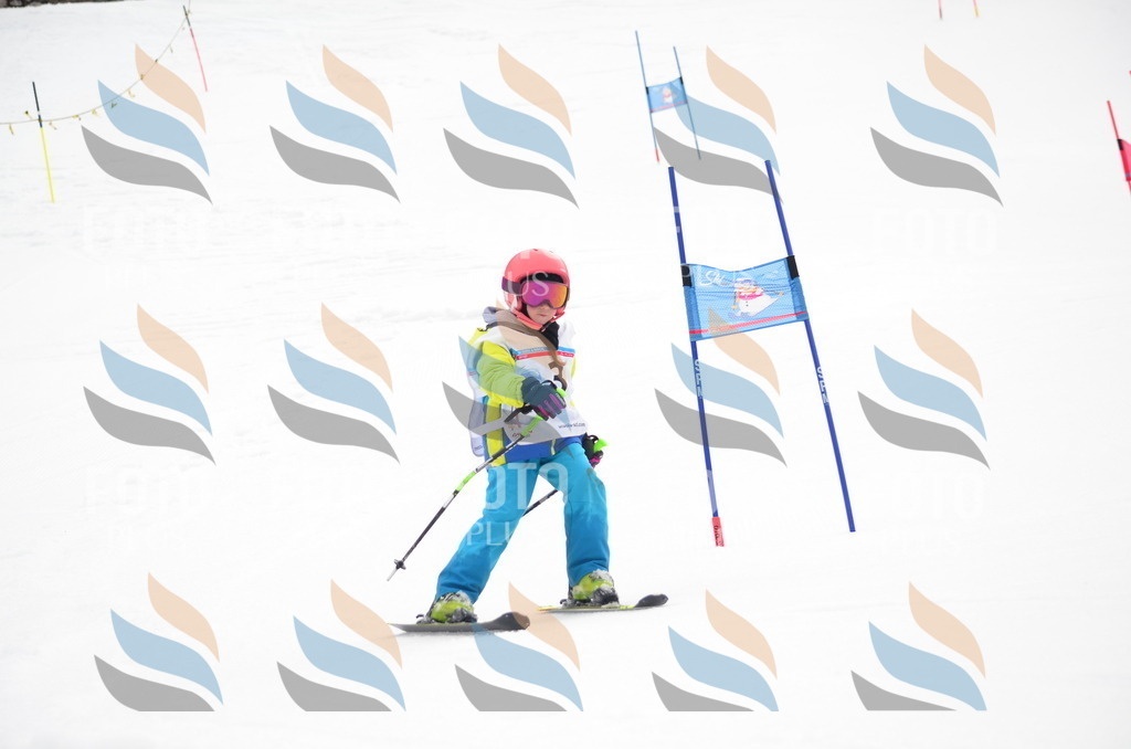 B9917 | holidayphoto